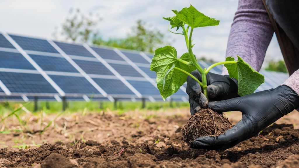 Mercado Livre de Energia é um ambiente de negociação de energia elétrica em que os participantes podem negociar livremente todas as condições comerciais